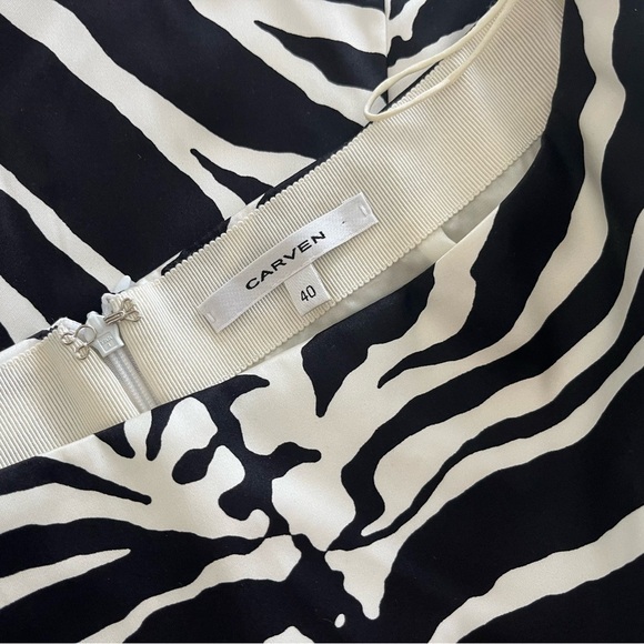 Carven Zebra Print Skirt Fall RTW 2013 - Picture 6 of 8